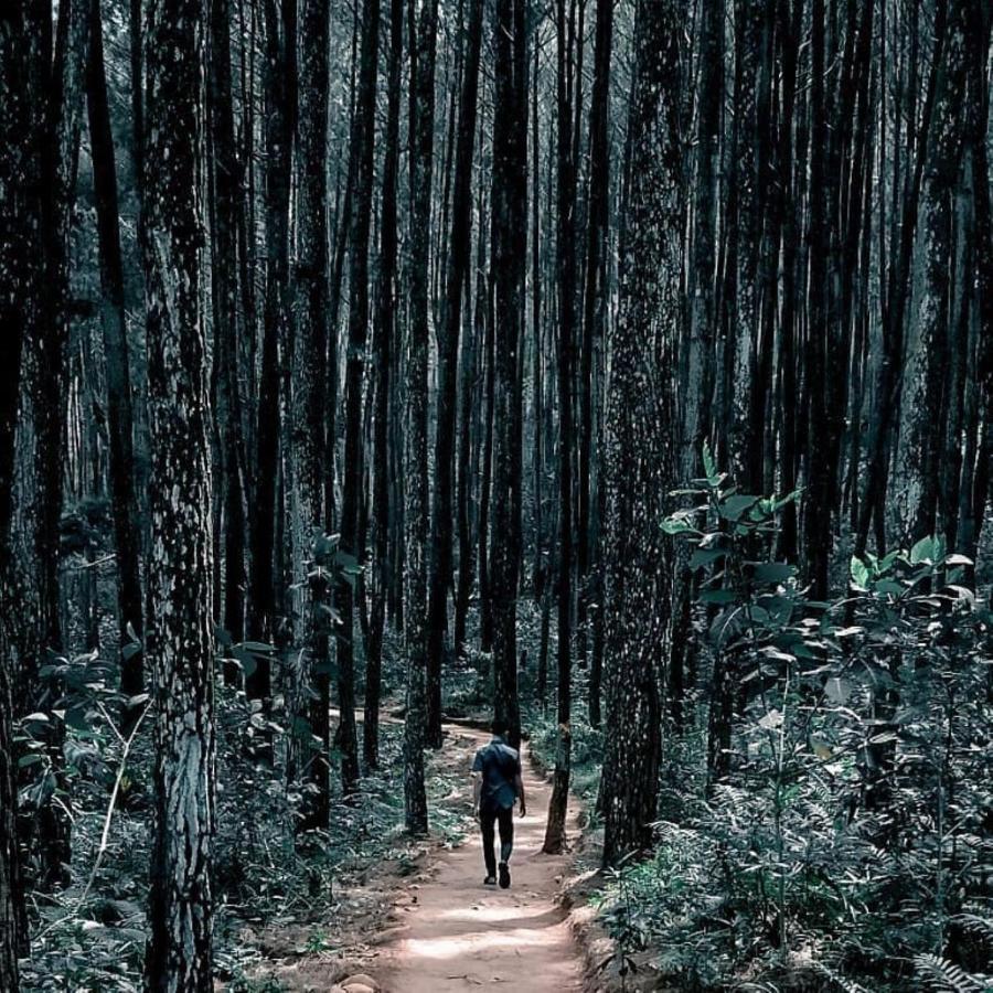Seribu Batu Songgo Langit Resort&Camp Bantul Bagian luar foto