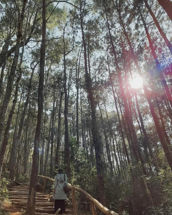 Seribu Batu Songgo Langit Resort&Camp Bantul Bagian luar foto