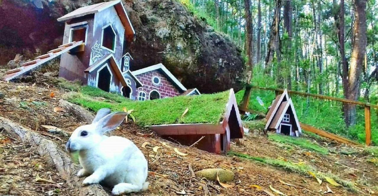 Seribu Batu Songgo Langit Resort&Camp Bantul Bagian luar foto